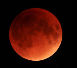 Blood Moon