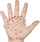 Get palmistry