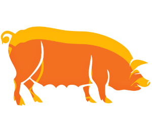 Pig zodiac sign